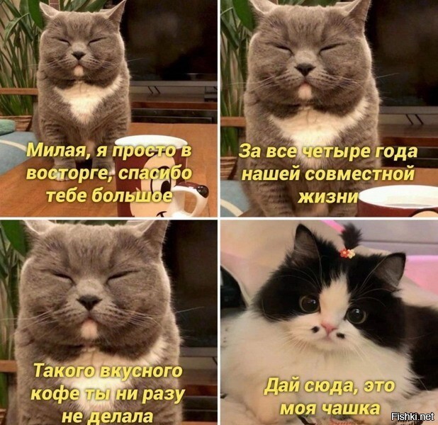 Прикольные и просто красивые картинки 11.11.2022