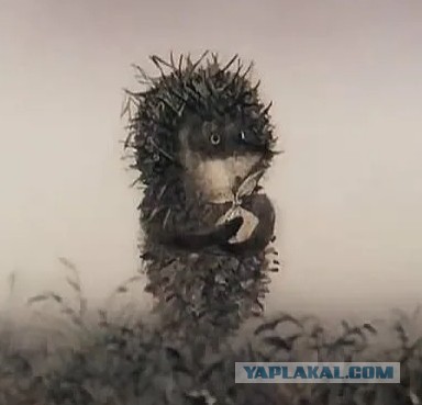 Лимоны. Варенье из ломтиков