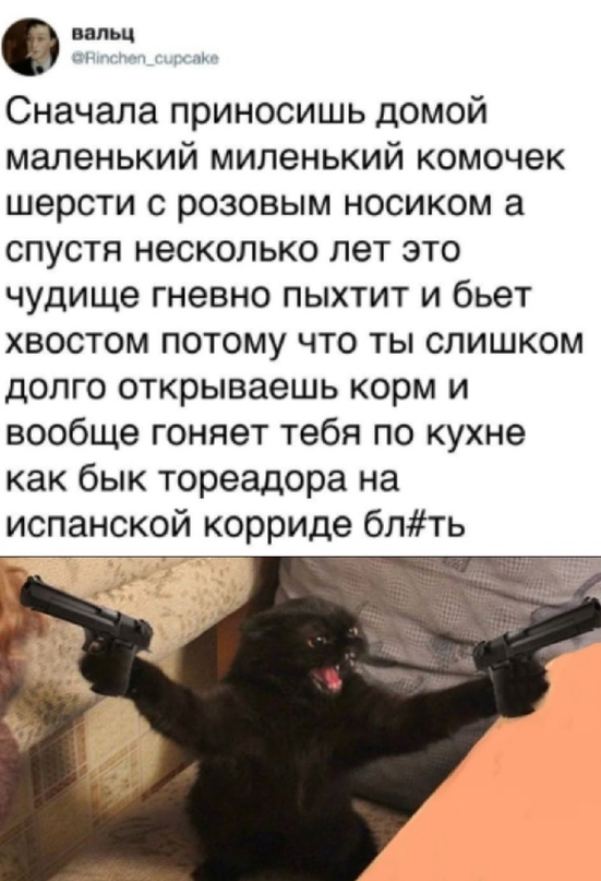Картинки и мемы, всем хороших выходных