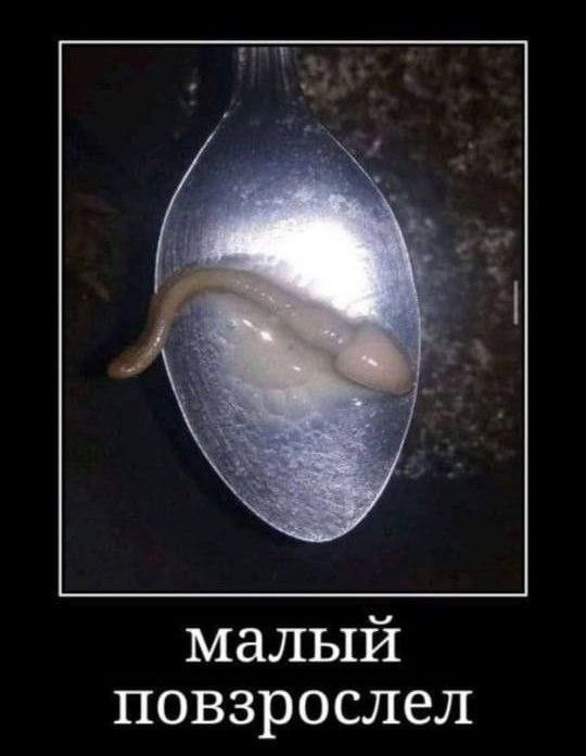 Так себе картинки 15.04.23
