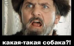 Губернатор Югры Комарова про бродячих собак: