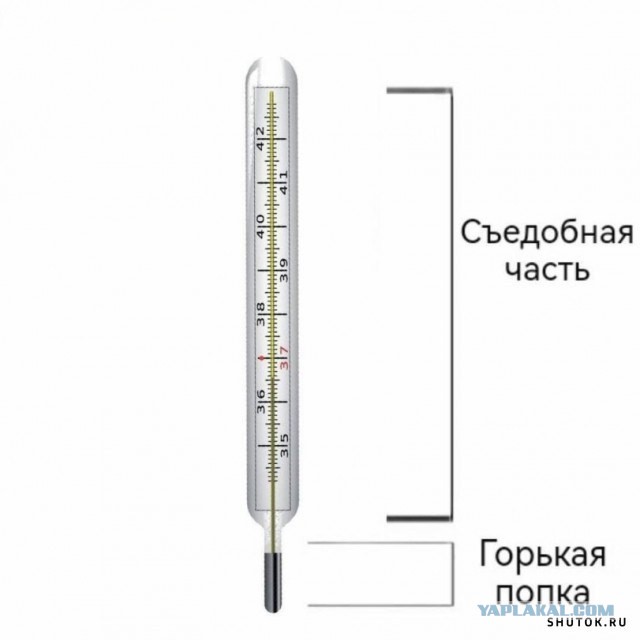 Не много весёлых картинок
