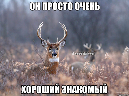 Мужчина толкнул девушку под прибывающий поезд в метро Москвы