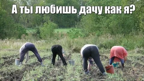Вот будет лето — Поедем на дачу!
