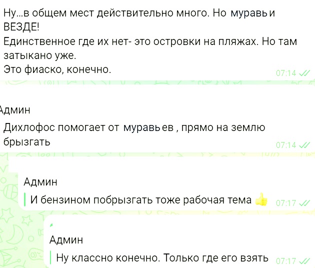 Hello Camper – месть Оргов.