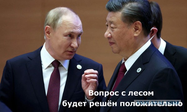Госдума разрешила сплошную рубку на Байкале для расширения БАМа