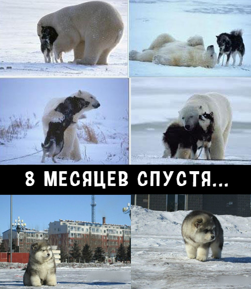 Картинки разные, возможны баяны