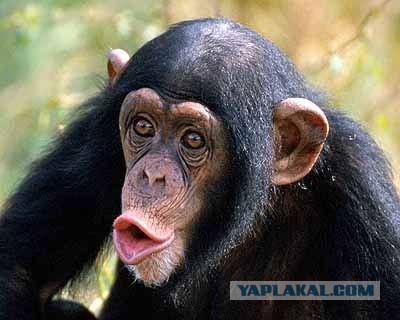 На Ставрополье не всё потеряно