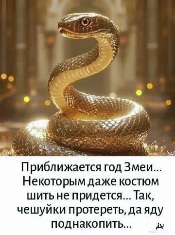 Так себе картинки 26.11.24