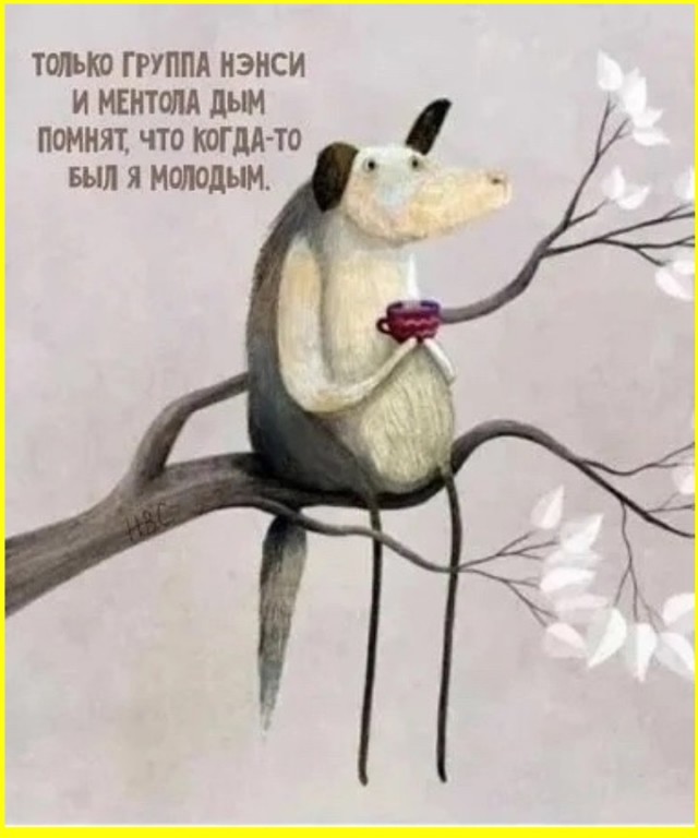 Весёлые картинки