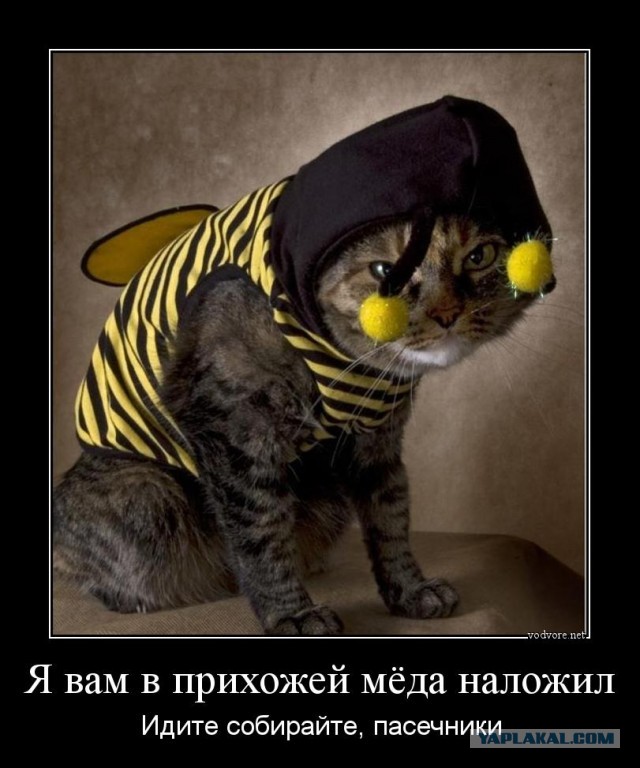Тараканчики