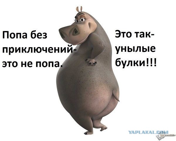 Женская попа положительно влияет на мужскую психику и снижает стресс, — исследование.