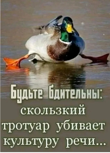 Картиночки, баянчики 16 февраля