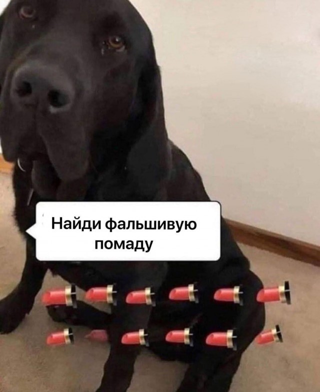 Поймать момент!