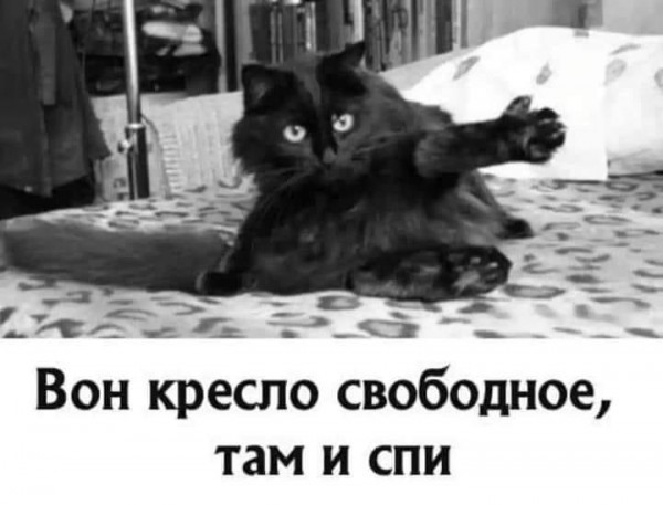 Котомошенники отнимают квадратные сантиметры у наших граждан!