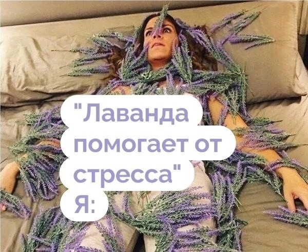 Картинки для деградации 232 (разной степени свежести)