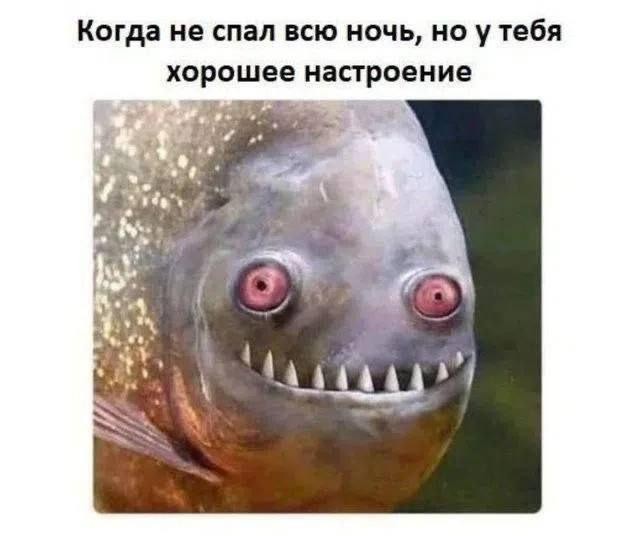 Картинки для деградации 233 (разной степени свежести)