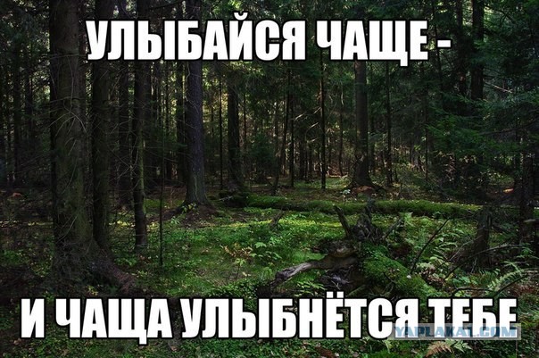 Степень доверия зашкаливает