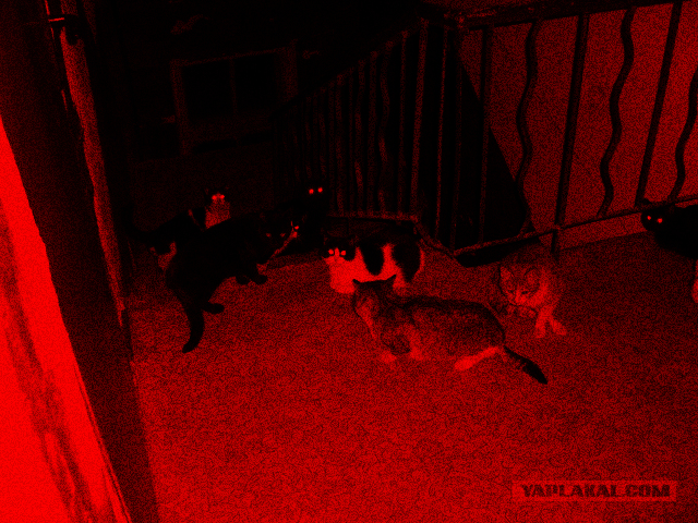 В ночь с 28 февраля на 1 марта. Без предупреждения