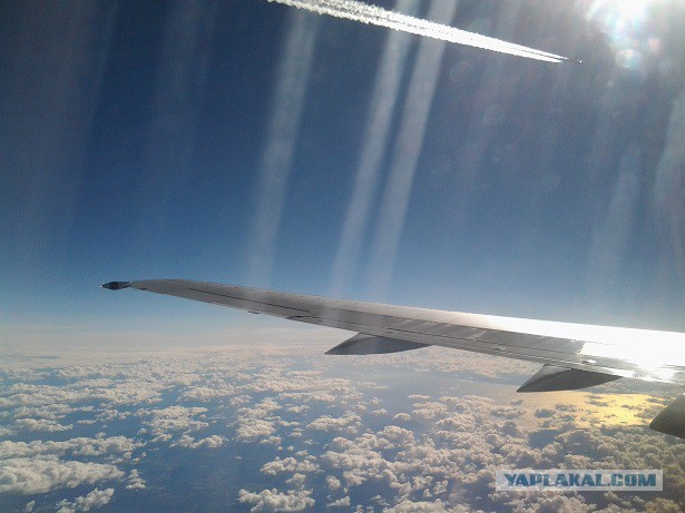 27 причин взять место у окна