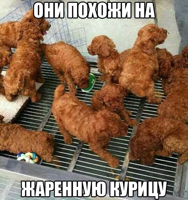 Позитивные картинки и комментарии.