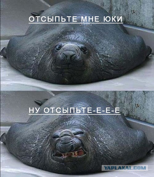 Кому юки отсыпать?