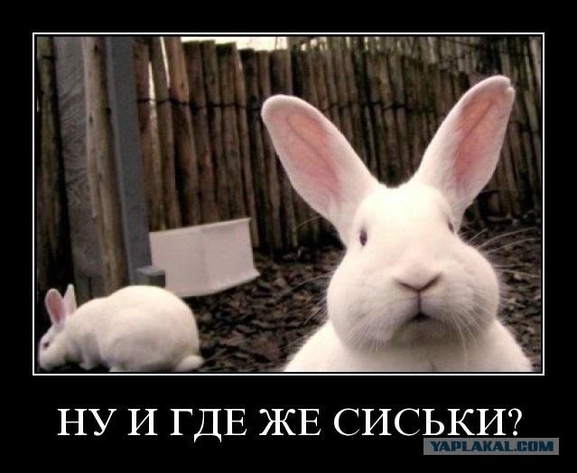 Ненастоящая!?!