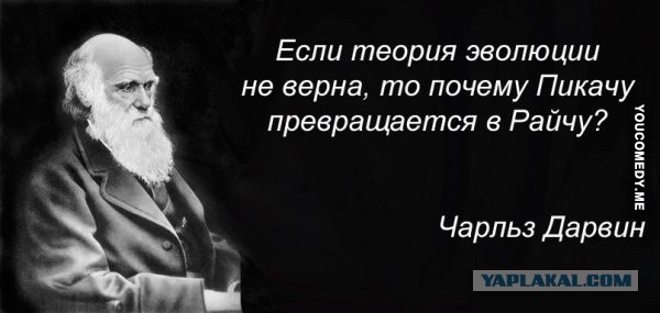 Поднимаем настроение