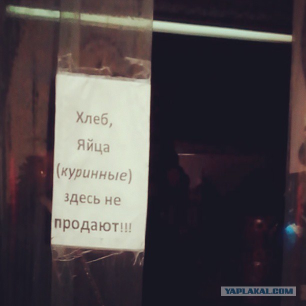 Жемчужина Казахстана! Almaty Tapok Edition