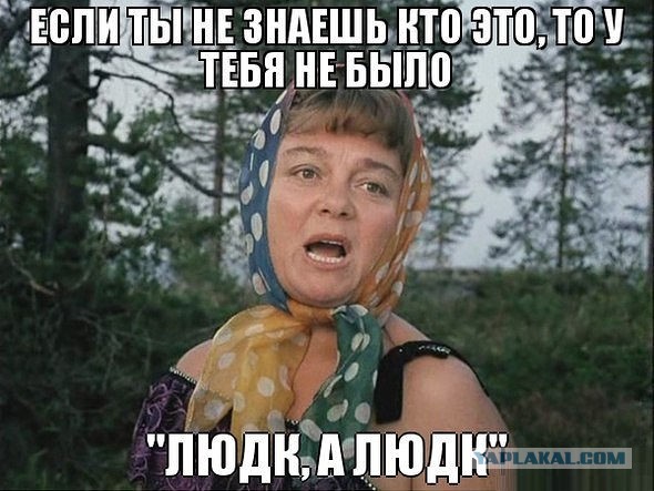 Братишки, я вам картинок принёс!