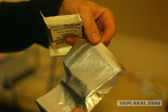 Борзые щенки