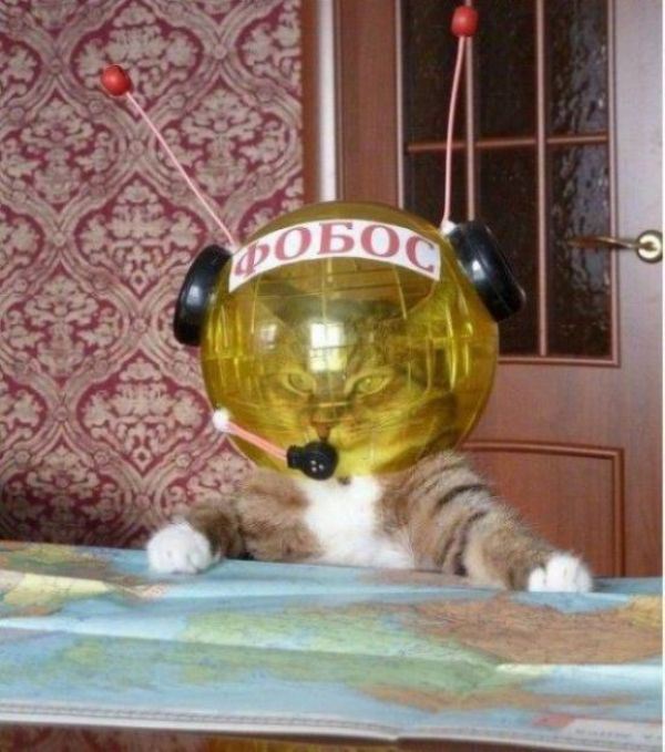 Весёлые картинки