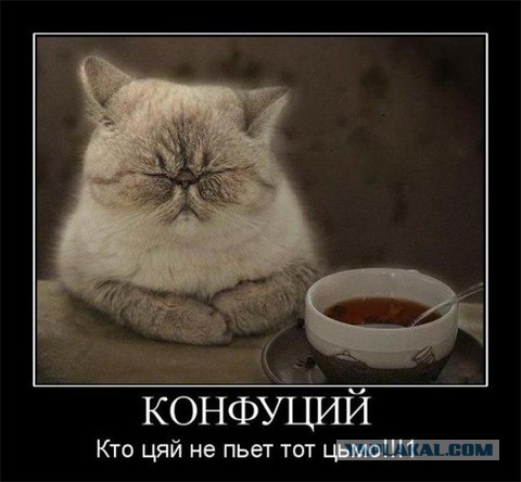 Фриланс и Дзен