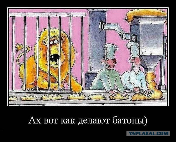 Прикольные картинки из сети