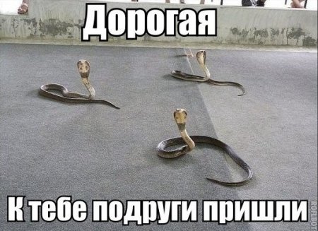 Картинки разные