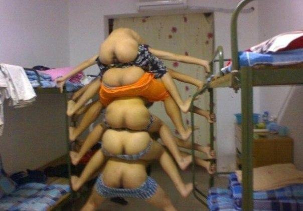 Ужасы и приколы из соцсетей 18+
