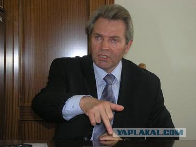 В Ростовской области сын мэра купил парк отдыха