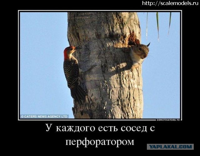 Типичный день из жизни соседей сверху