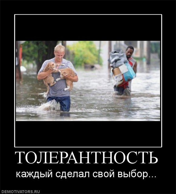 Толерантность