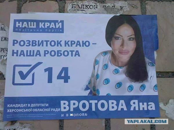 Выборы-выборы! Кандидаты... молодцы.