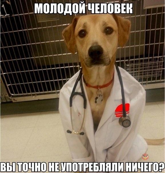 Подборка прикольных фото на пятницу