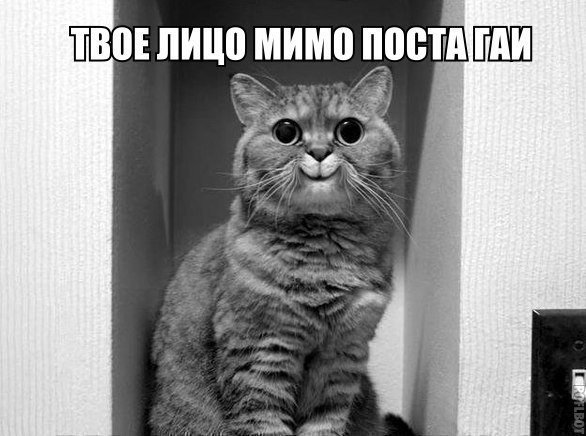 Подборка картинок