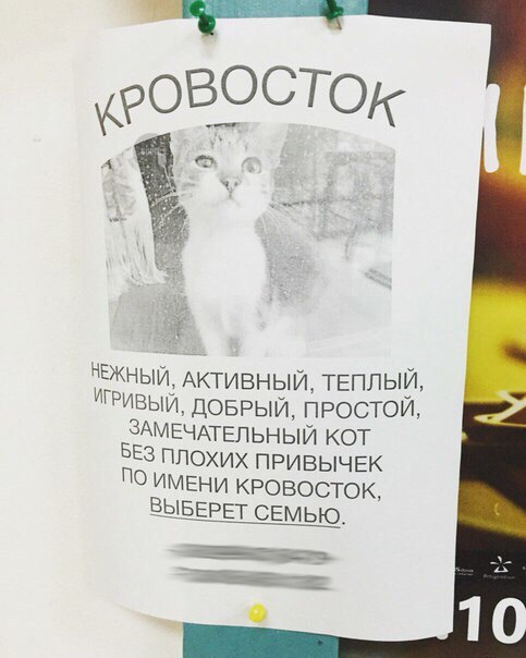 Немного юмора, заимствованного из сети