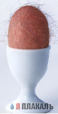 ЯЙЦА