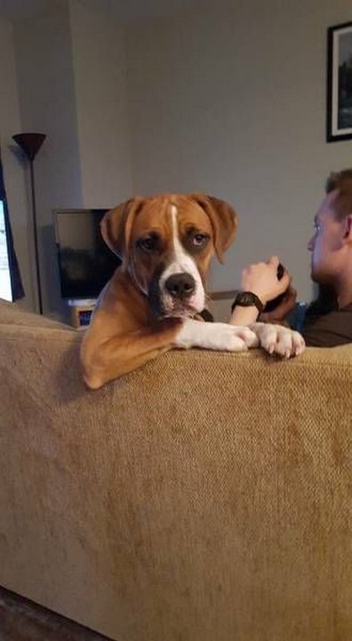 Картинки разные