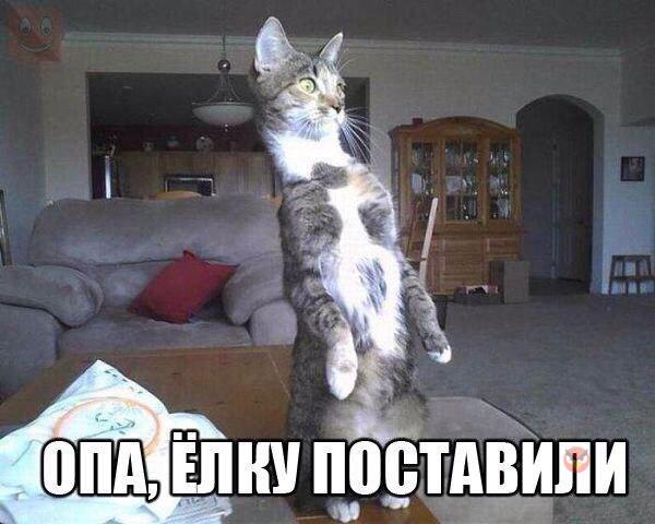 Подборка веселых демотиваторов на сегодня