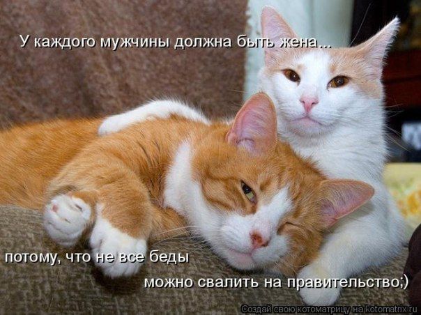 Абонент не отвечает или как заставить жену брать трубку