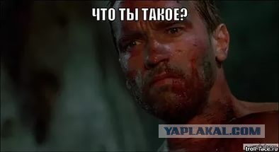 Смешные комментарии из социальных сетей и не только