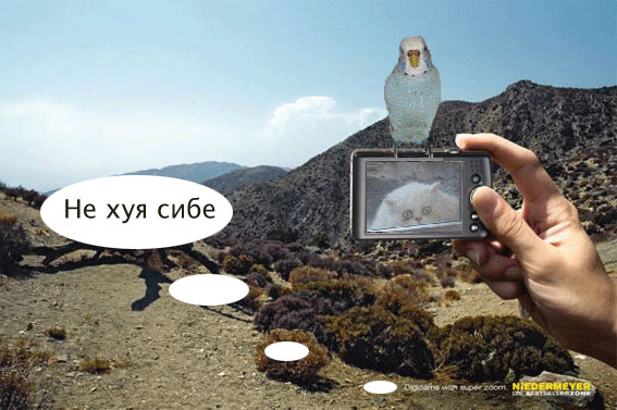 Барсик и Кеша (жесть)