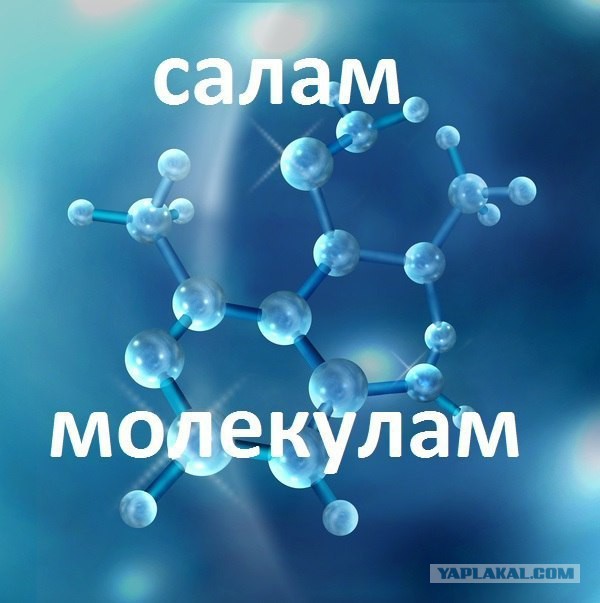Праздник жертвоприношения в Москве